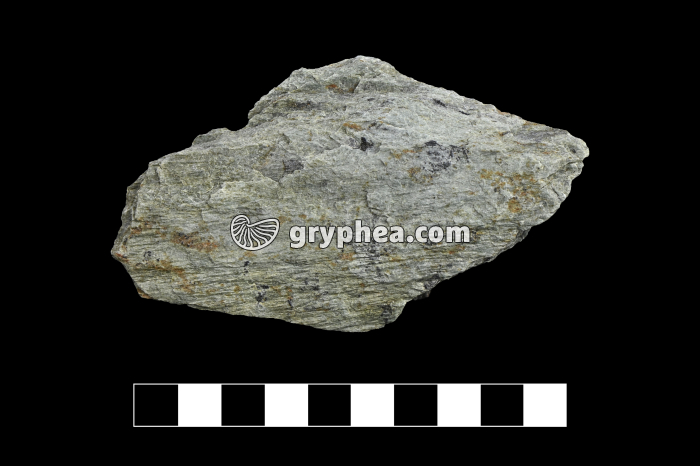Schiste à chlorite - échantillon - gryphea.com